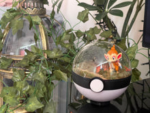 Load image into Gallery viewer, DIY (Do it yourself) terrarium/diorama kit