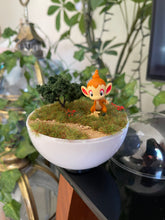 Load image into Gallery viewer, DIY (Do it yourself) terrarium/diorama kit