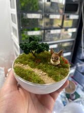 Load image into Gallery viewer, DIY (Do it yourself) terrarium/diorama kit