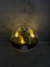 Load image into Gallery viewer, 10cm Bespoke Terrarium (Custom Design)