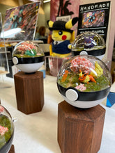 Load image into Gallery viewer, 10cm Bespoke Terrarium (Custom Design)