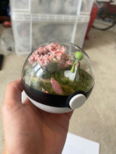 Load image into Gallery viewer, 10cm Bespoke Terrarium (Custom Design)