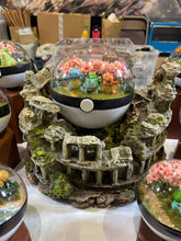 Load image into Gallery viewer, 16cm Starters Trio Terrarium
