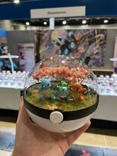 Load image into Gallery viewer, 16cm Starters Trio Terrarium
